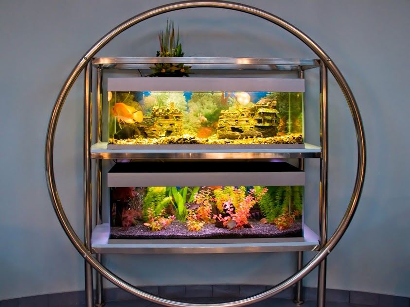 Commercial Aquariums The premier source for custom aquariums