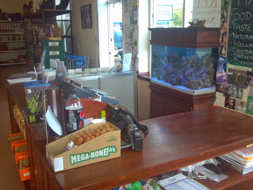 Commercial Aquariums The premier source for custom aquariums