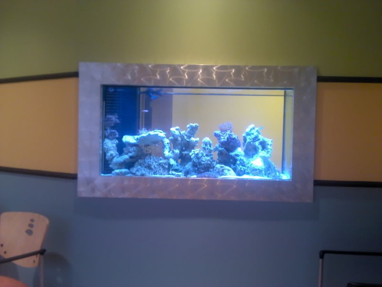 Commercial Aquariums The premier source for custom aquariums, aquarium service, and exotic