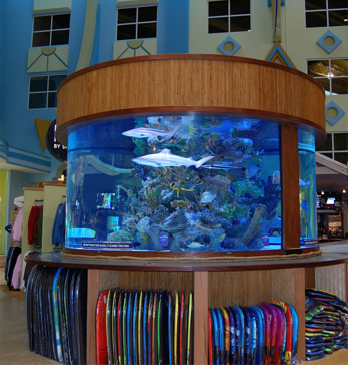 Aquarium Maintenance Normal Aquatics Custom Aquarium Installation