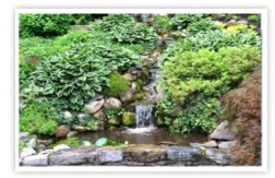 Pond Installation, Design, and Repair Services - Greenwich, CT