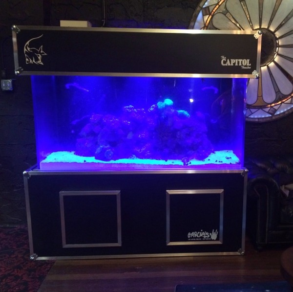 Custom Aquarium Installation at the Capital Theater | Portchester, NY