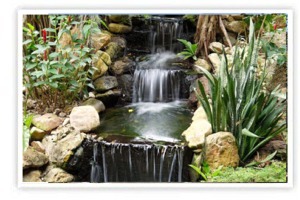 Benefits of Pond and Water Feature Installation | Greenwich, CT