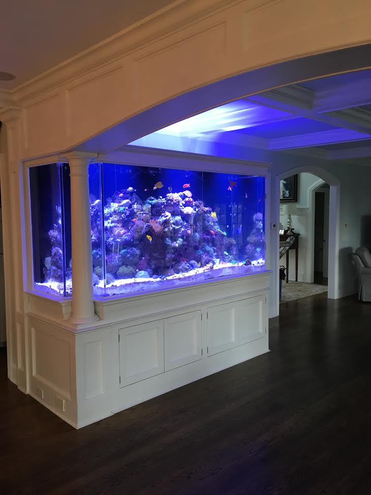 Residential Gallery | Normal Aquatics - Custom Aquarium Installation ...