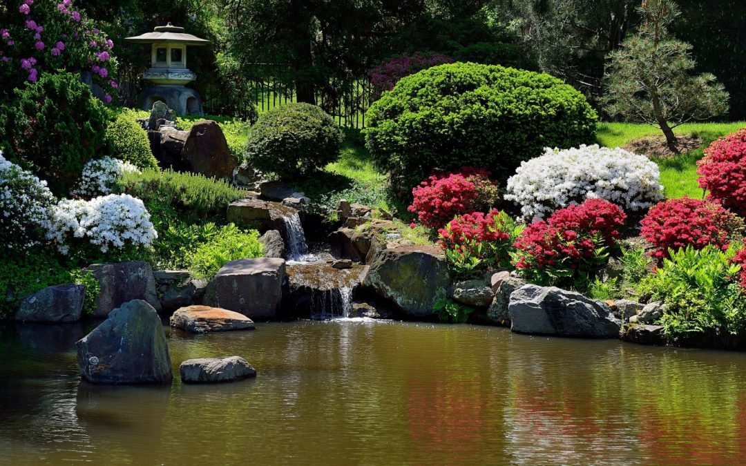 Darien, CT | Pond Installation Services | Aquatics Gardens | Outdoor Water Features | Water Fountains