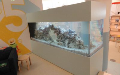 How Much Do Custom Aquarium Cabinets Cost in Connecticut?