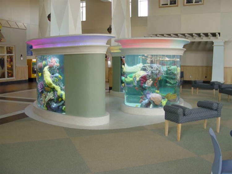 Connecticut Aquarium Maintenance and Fish Tank Care Services