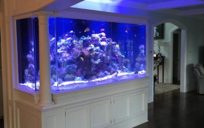 Connecticut Aquarium Cabinets and Fish Tank Stands | New London, Hartford, Stamford, CT