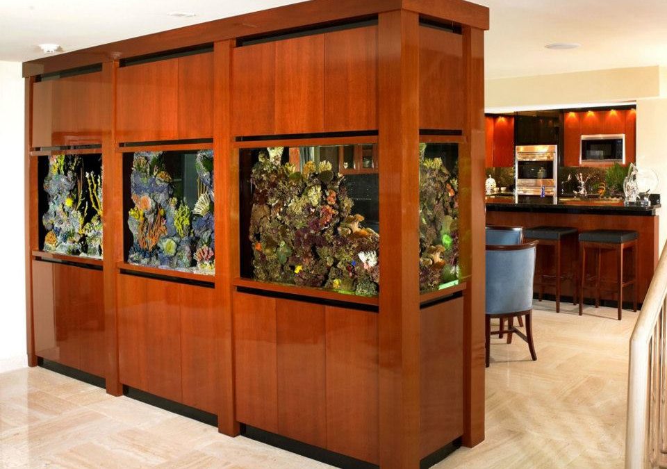 Aquarium Movers, Fish Tank Transport Services | Westchester County, NY