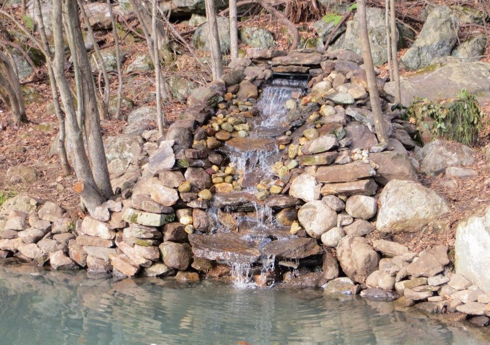 Poughkeepsie, NY | Pond Construction, Cleaning, Maintenance