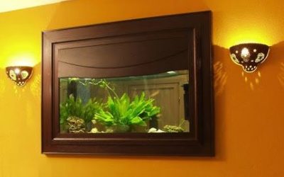 How to Choose the Best Custom Fish Tank Builder in Connecticut