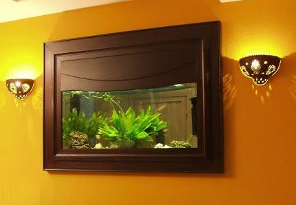 Yorktown Heights, NY | Custom Aquariums | Fish Tanks | Custom Acrylic Fish Tanks Near Me