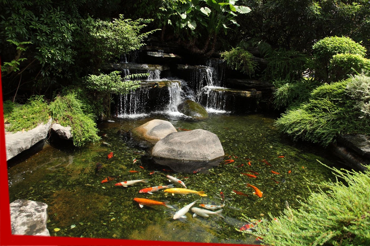 Pond or Water Feature / Garden Installation and Build Services in Connecticut | Normal Aquatics