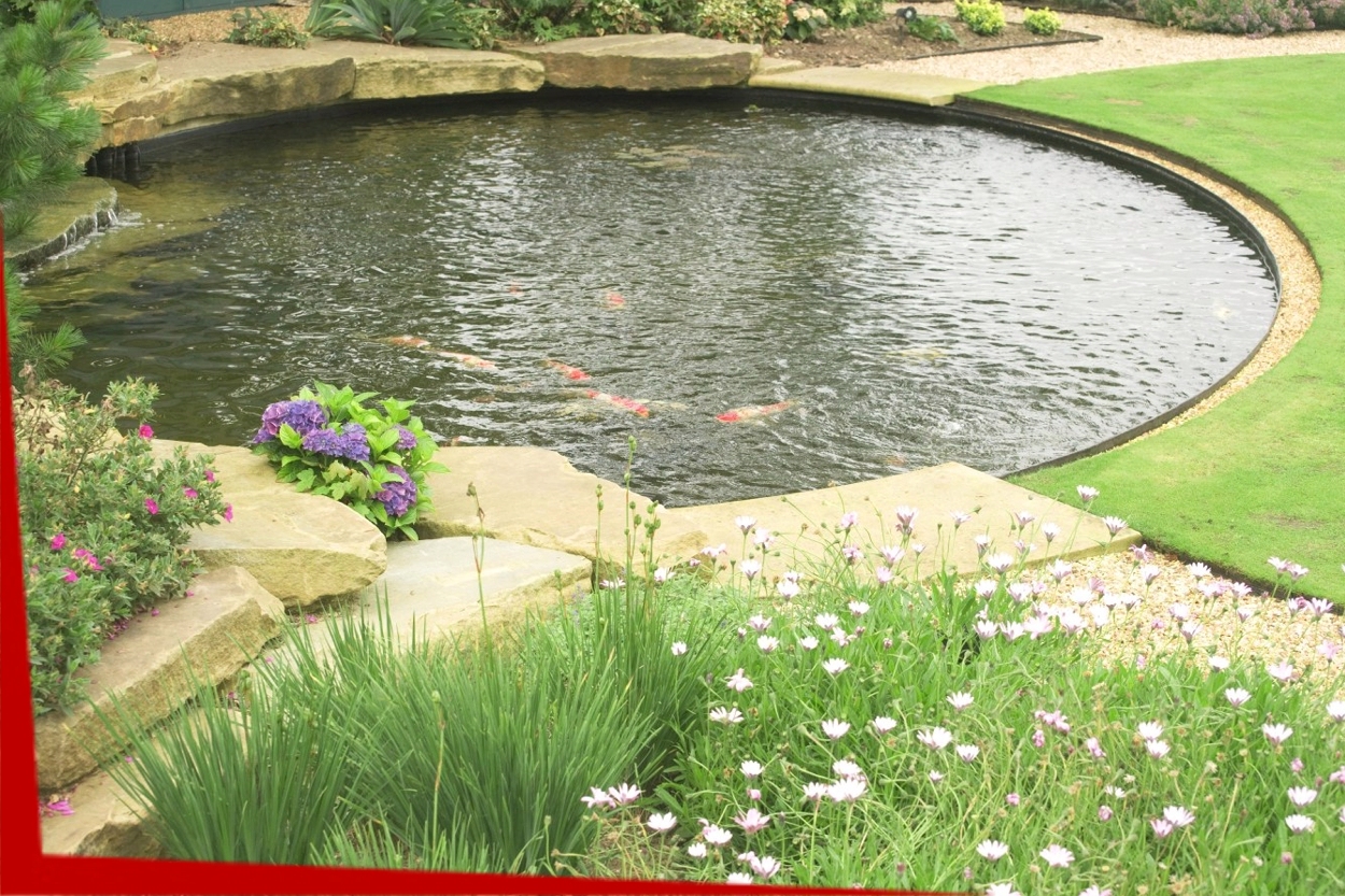 Emergency Pond Services in Connecticut by Normal Aquatics