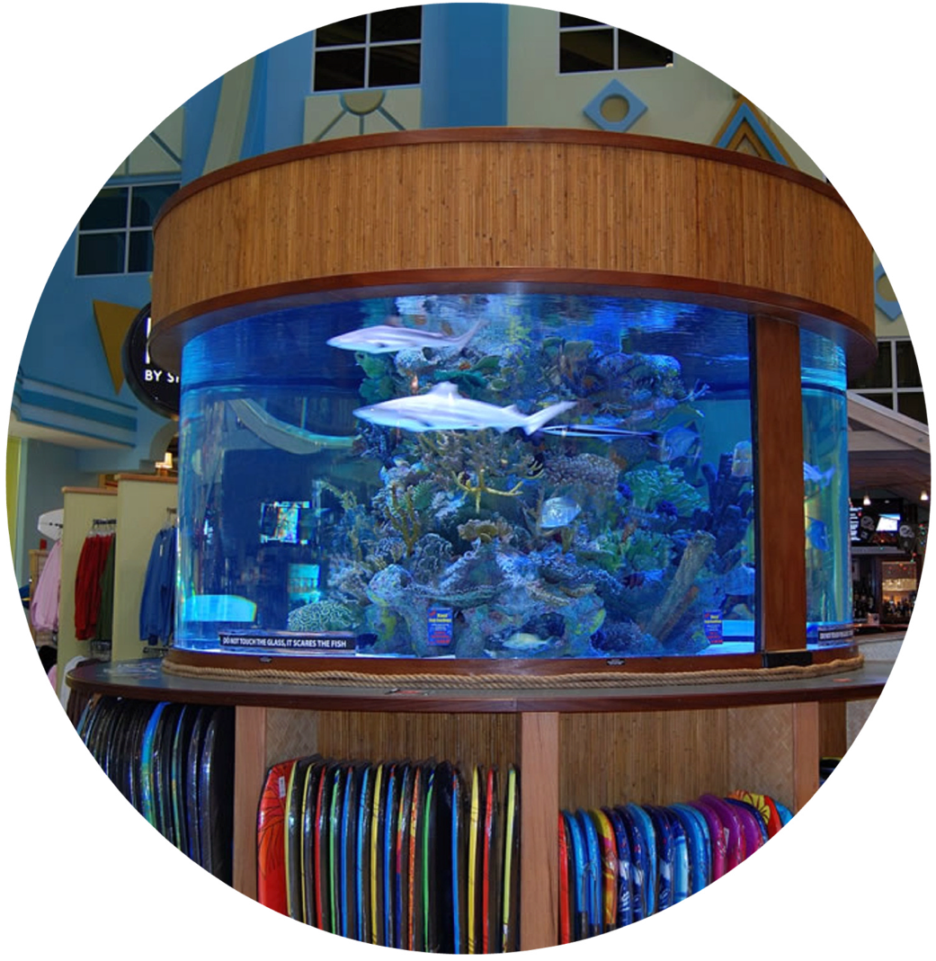Custom Aquariums in Easton, CT | 