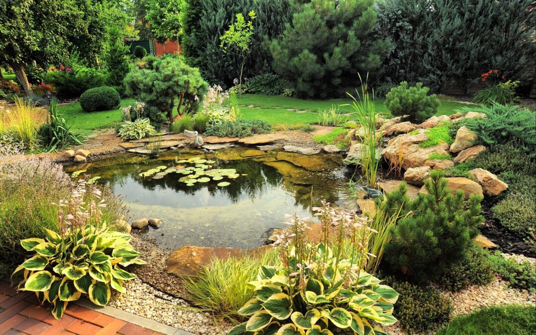 Outdoor Pond Design & Installation Contractors | Cromwell, CT