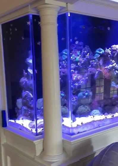 Custom Aquarium & Fish Tank Installation and Maintenance in Lewisboro, NY