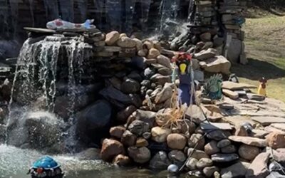 Custom Pond and Waterfall Installation Services in Lewisboro, NY