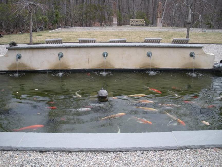 Koi Pond Builders & Pond Maintenance Contractors in Newtown, CT