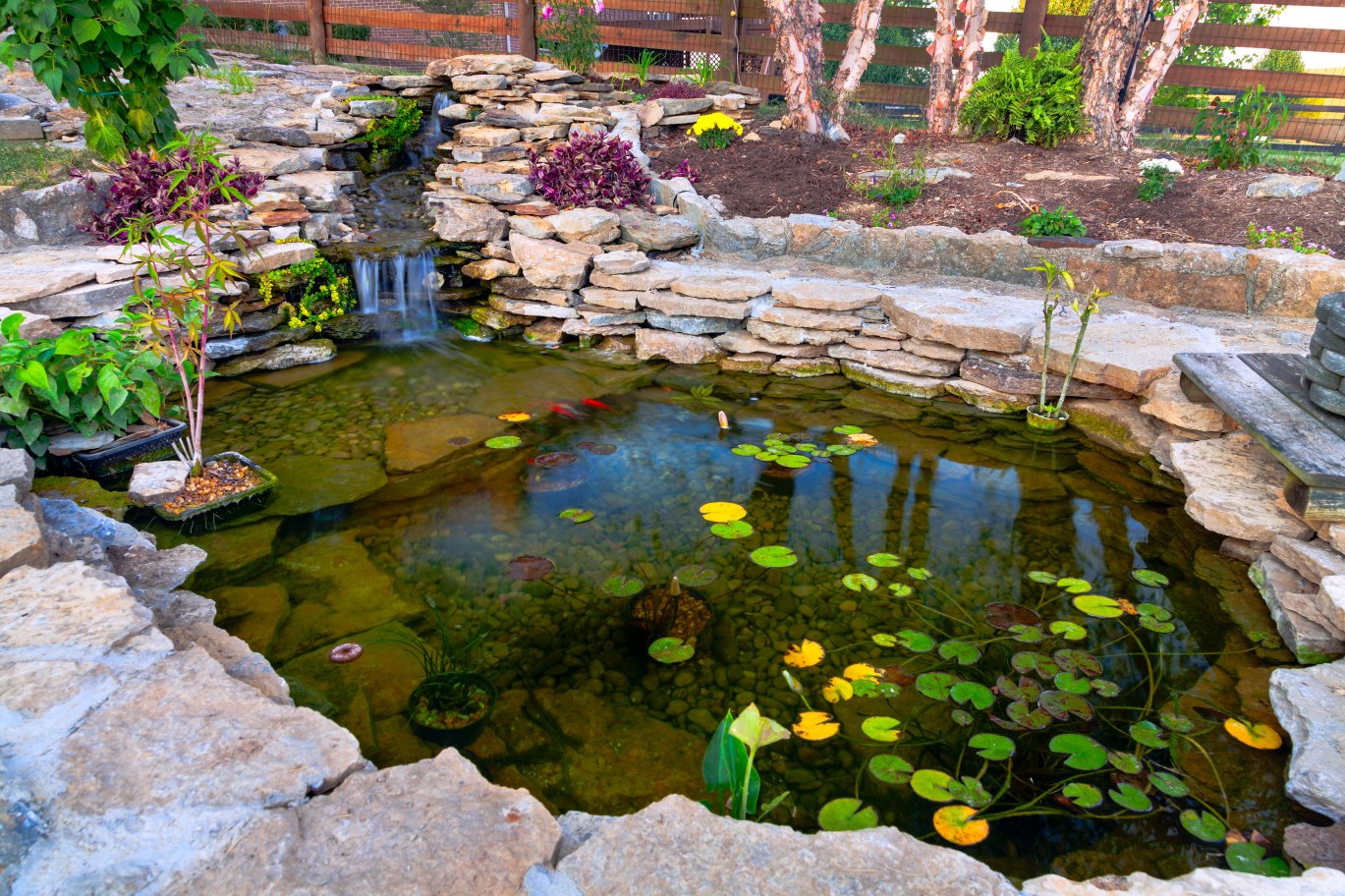 Custom Koi Pond Builders & Pond Maintenance Services in Hartsdale, NY