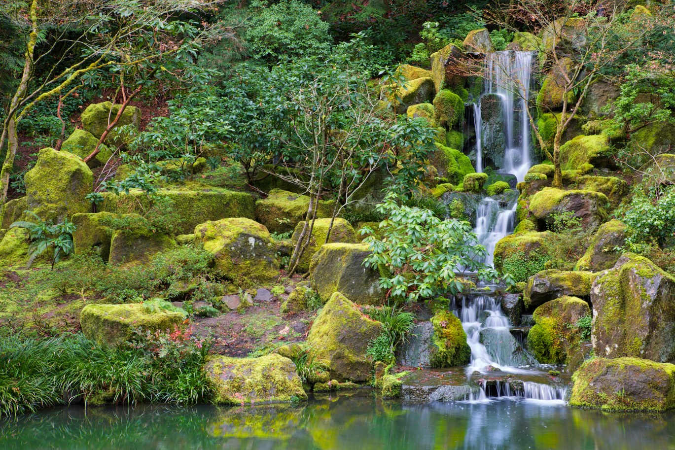 Water Garden & Landscape Waterfall Installation in Westport, CT by Normal Aquatics