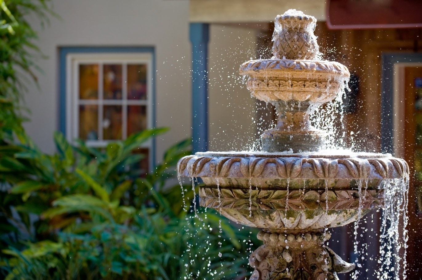 Koi Pond Design, Installation & Maintenance Contractors in Glastonbury, CT