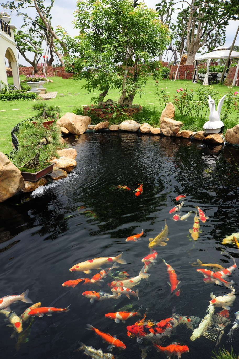 Koi Pond Builders | Pond Maintenance in Greenwich, CT