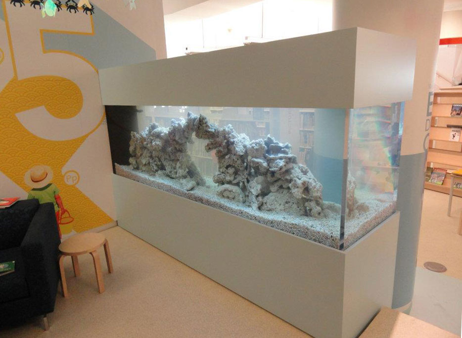 Custom Aquarium & Fish Tank Install, Maintenance in Rye, NY