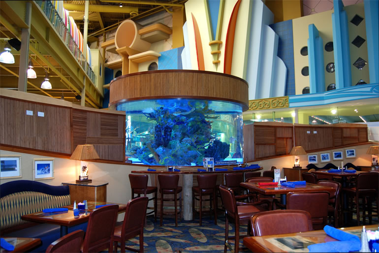 Custom Aquarium Design and Installation in Mt. Kisco, NY