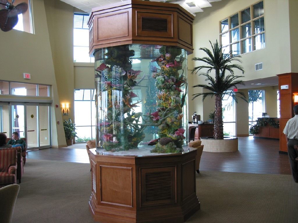 Custom Saltwater Aquarium Design, Installation & Maintenance in Fishkill, NY