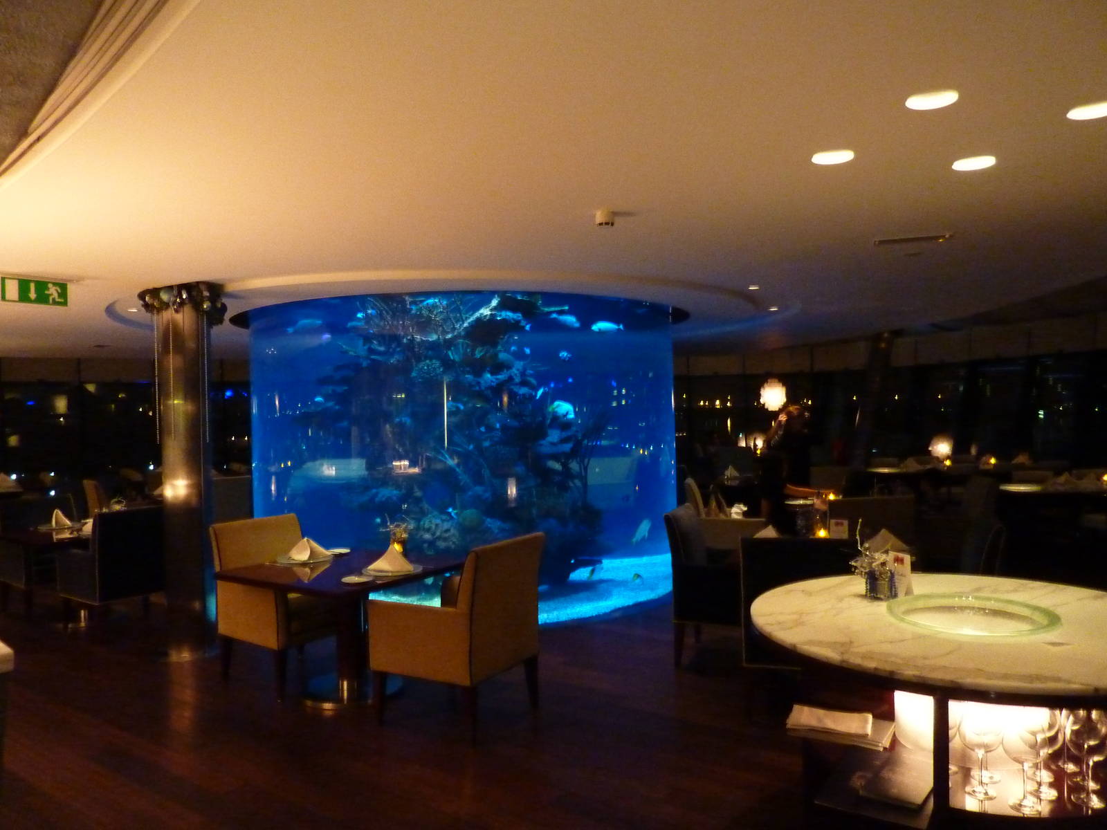 Custom Aquarium Design, Installation & Maintenance in Millwood, NY