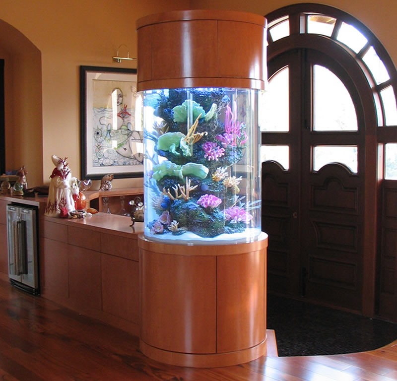 Custom Aquarium Design and Installation in Patchogue, NY